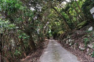 現代アートの島