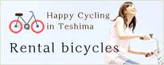 rental bicycles